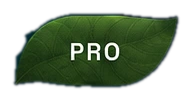 core plan